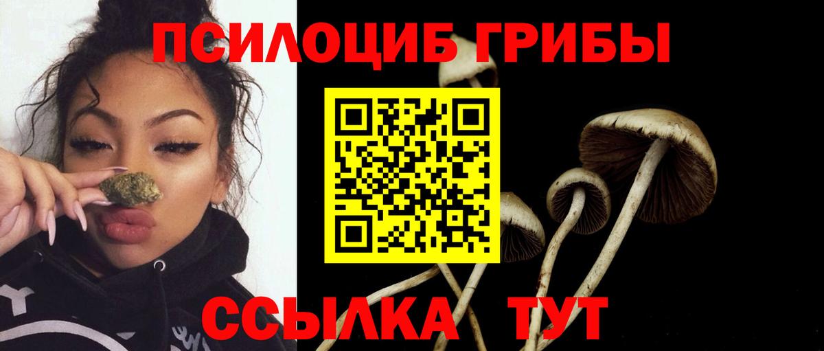 Псилоцибиновые грибы Psilocybine cubensis Сибай