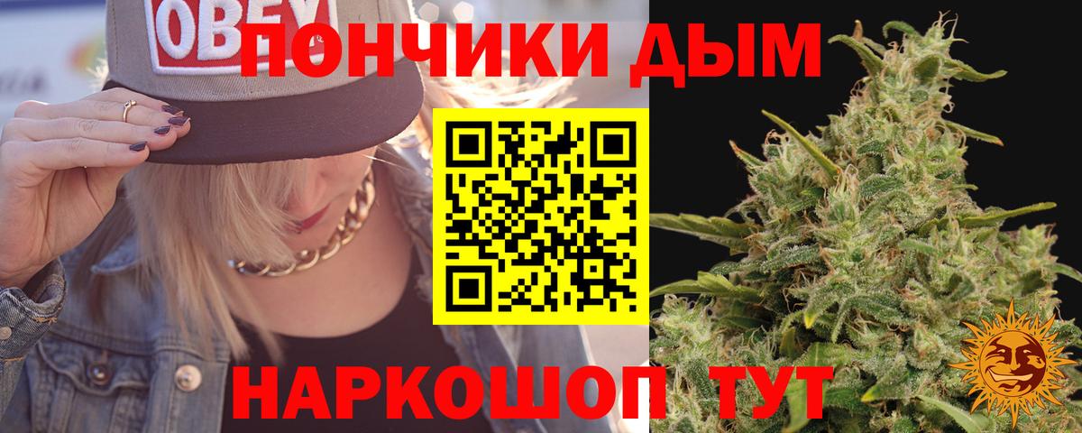Шишки марихуана сатива Сибай